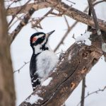 自拍网在线 cy0u5